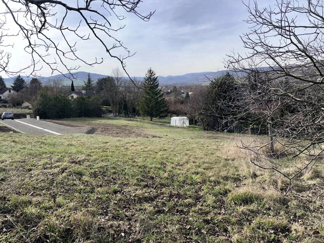 Terrain à VEYRE-MONTON