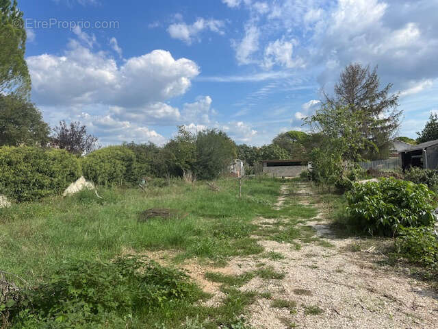 Terrain à CARPENTRAS