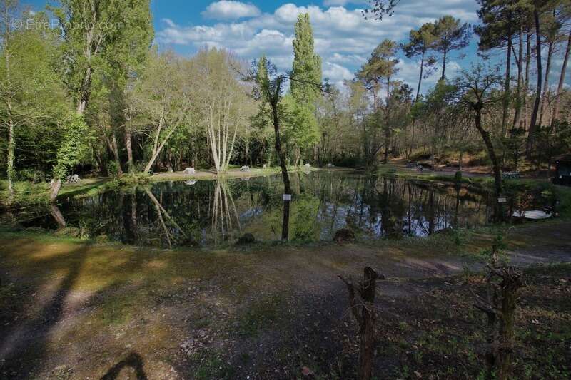 Maison à VILLANDRAUT