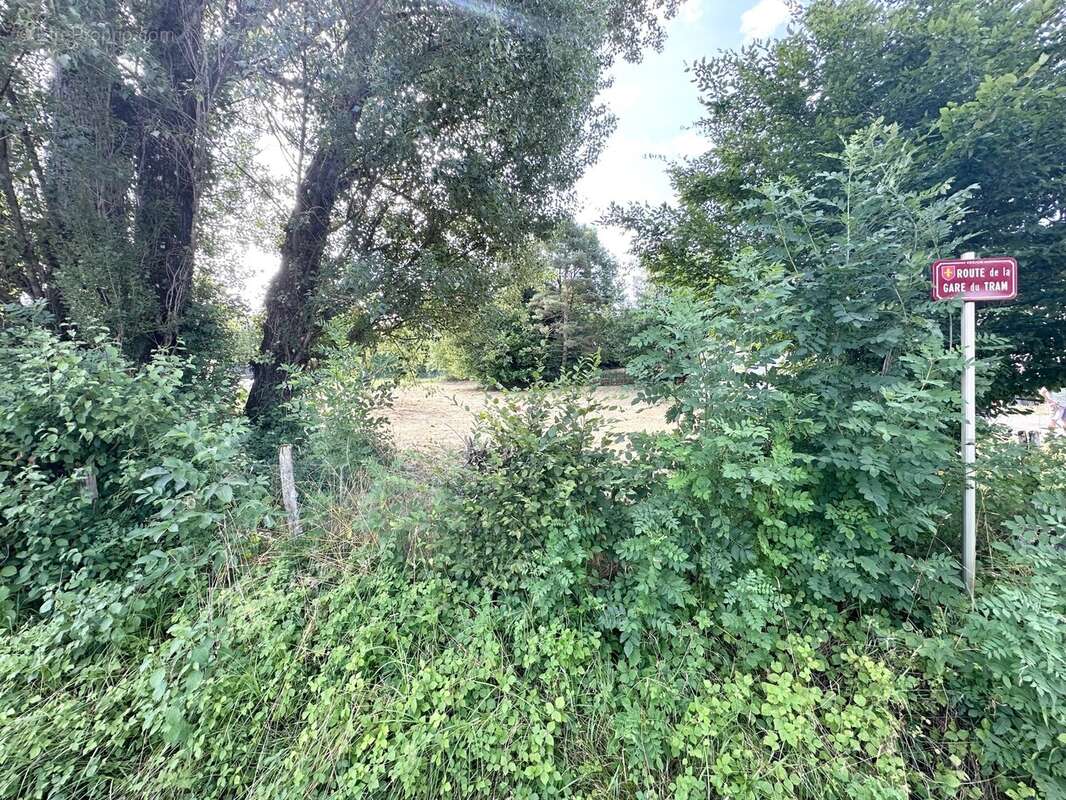 Terrain à VERJON