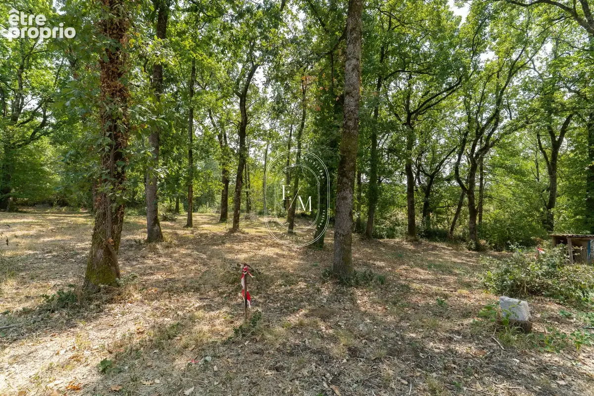 Le privilège d'un panorama unique - photo 6