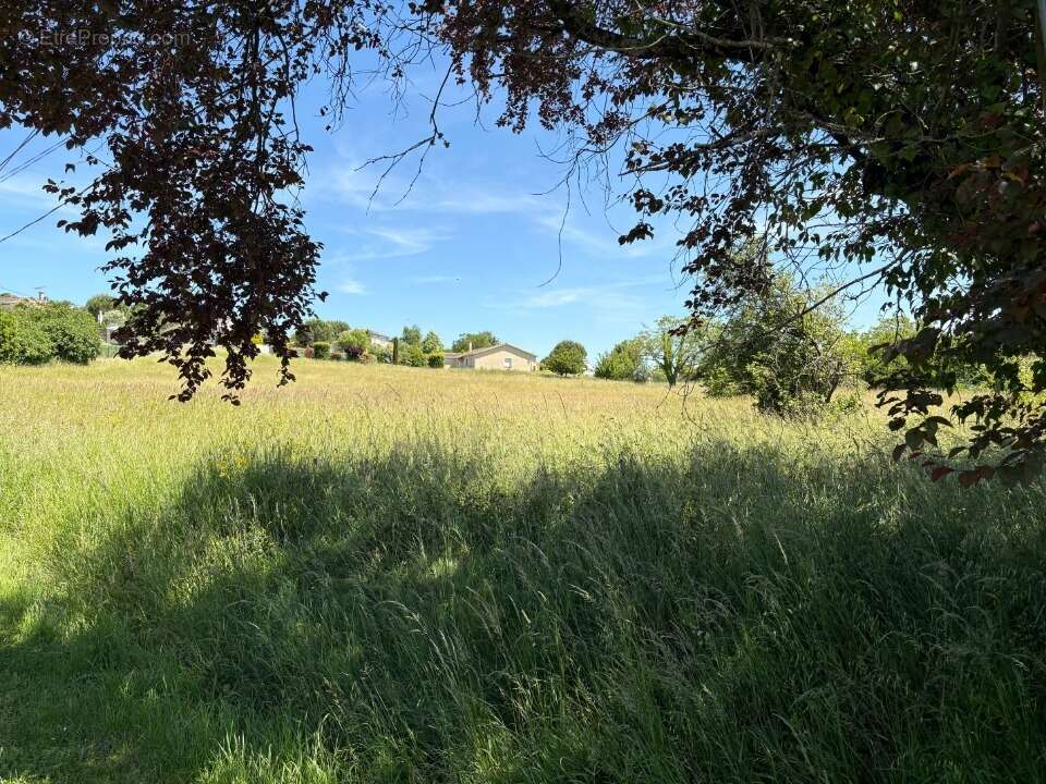 Terrain à MONTASTRUC-LA-CONSEILLERE