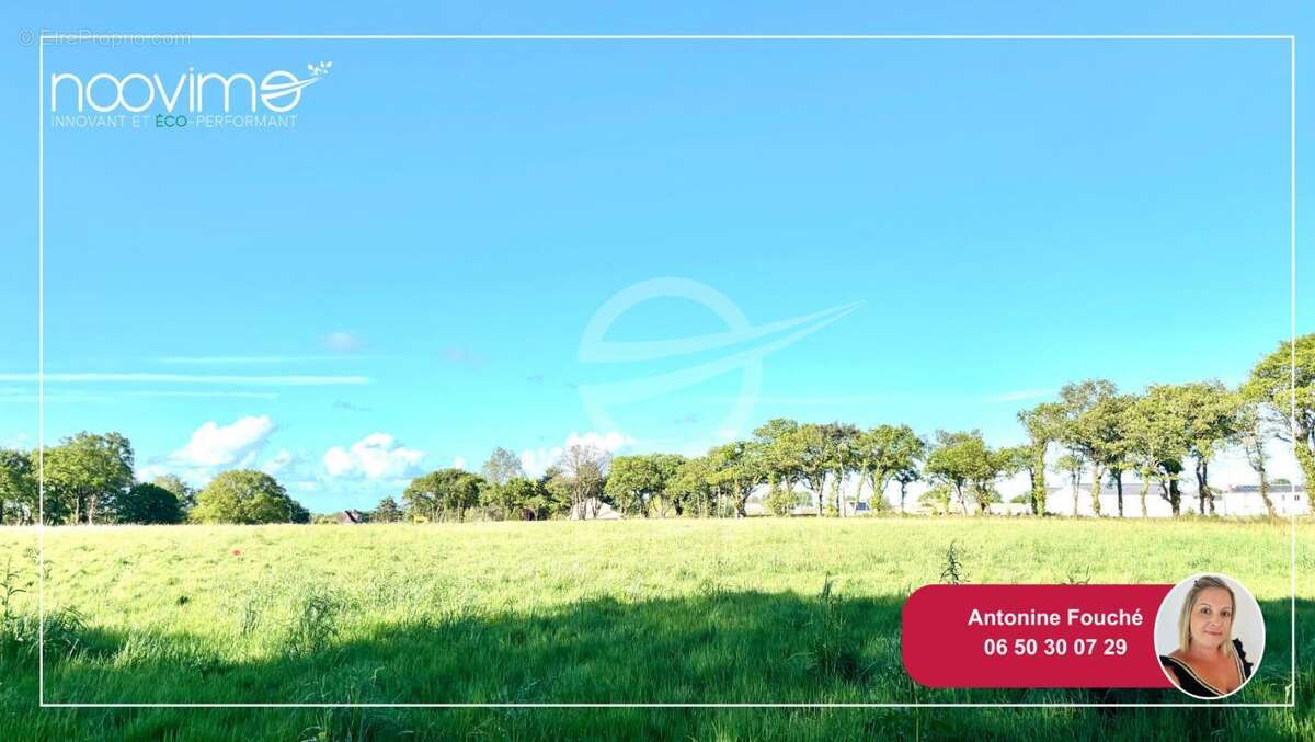 Terrain à SAINT-PERE-EN-RETZ