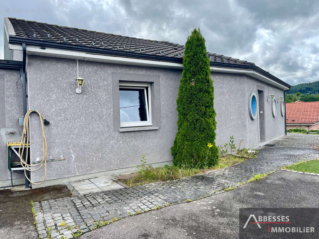 EN EXCLUSIVITÉ : SAINT NABORD - Pavillon de plain pied avec terrasse et garage - photo 19