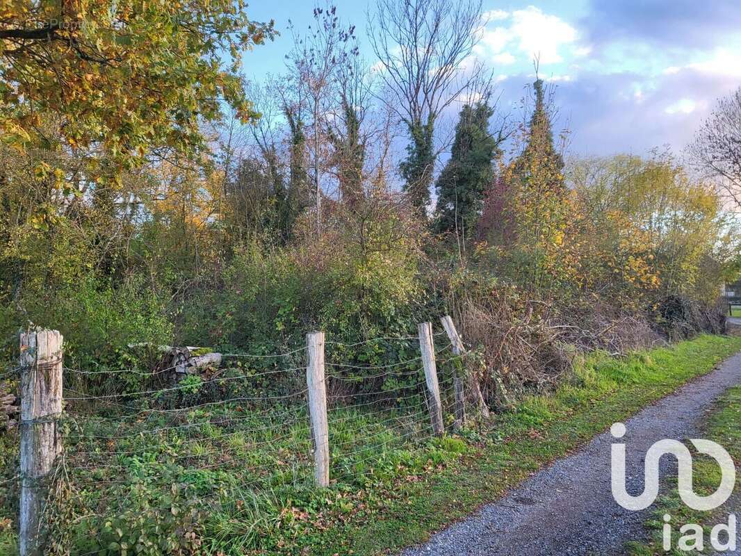Photo 3 - Terrain à VENDEUVRE-SUR-BARSE