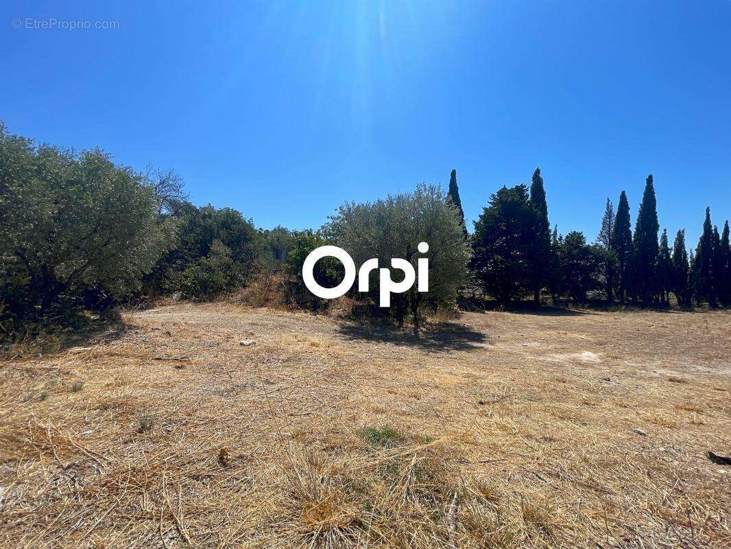 Terrain à LA CIOTAT