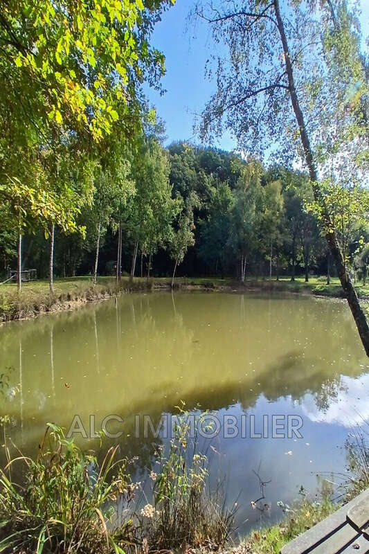 Terrain à SAINT-LEONARD-DES-BOIS