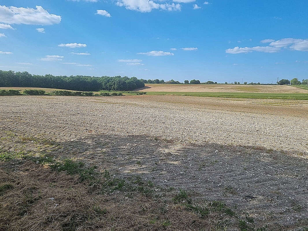 Maison à MONTAIGU-DE-QUERCY