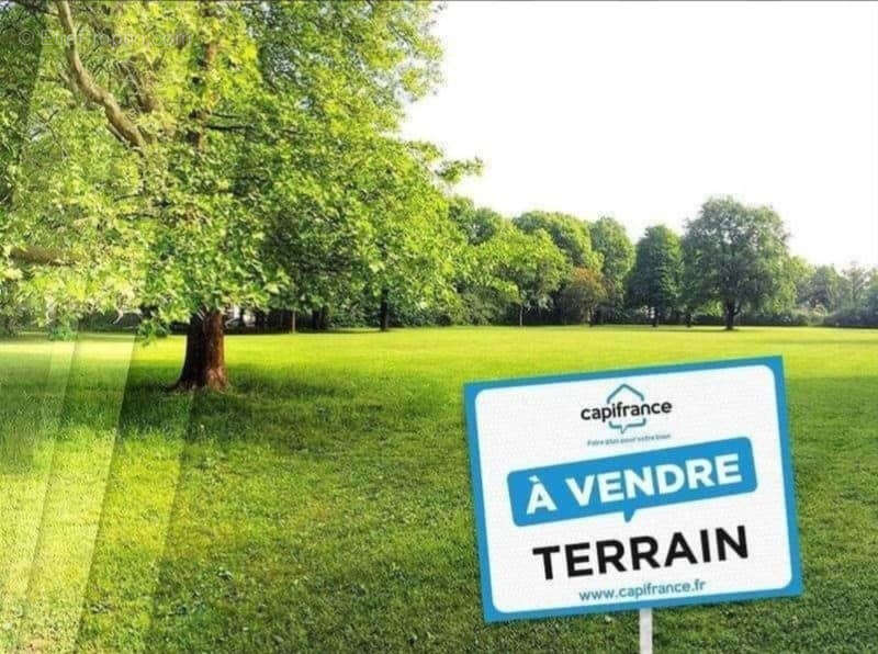 Terrain à vendre  COUTARNOUX (89) - photo 2