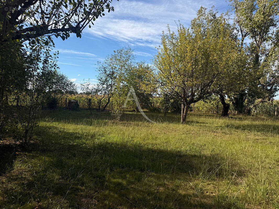 Terrain à SAINT-ETIENNE-DE-TULMONT