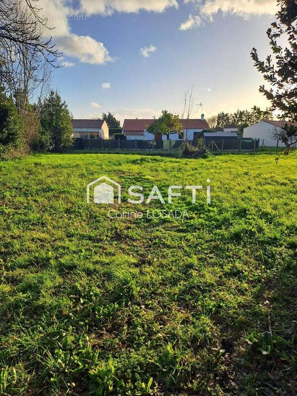 Photo 4 - Terrain à GRUES