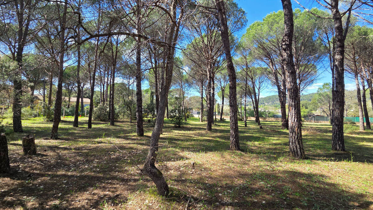 Terrain à VIDAUBAN