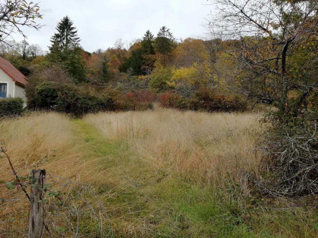 Terrain constructible / premery - photo 8
