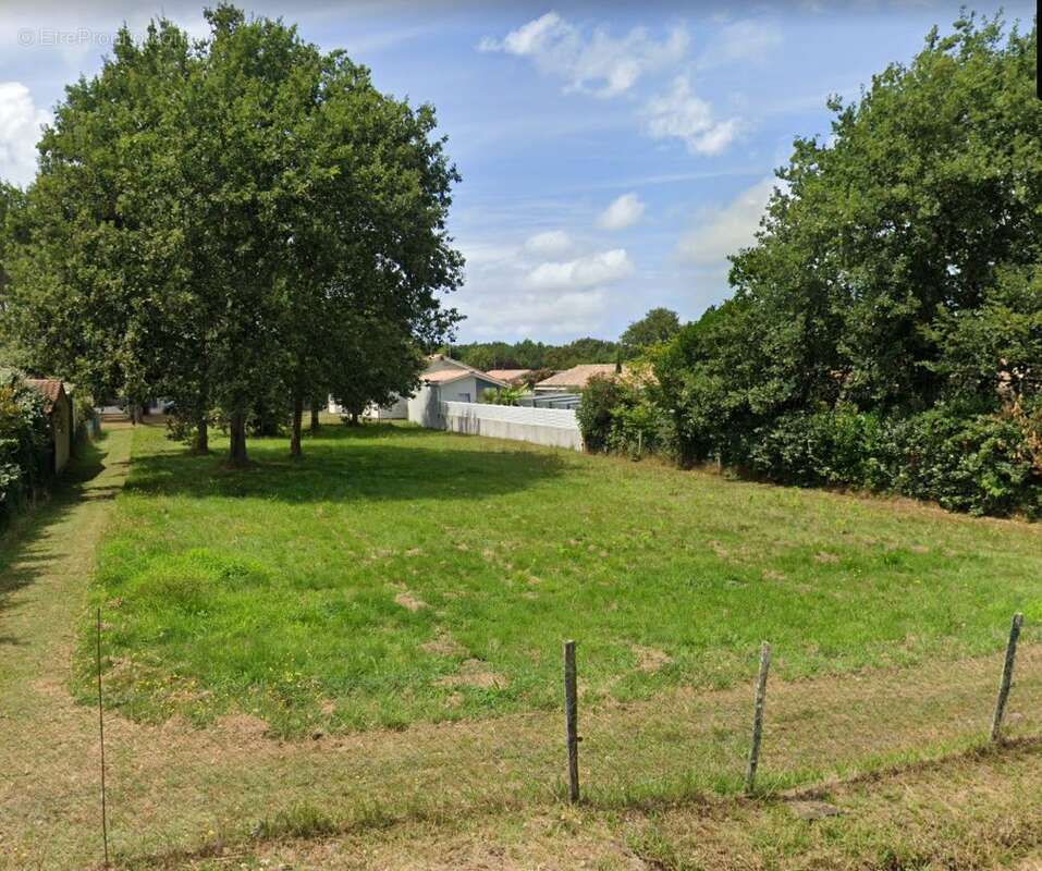 Terrain à BELIN-BELIET