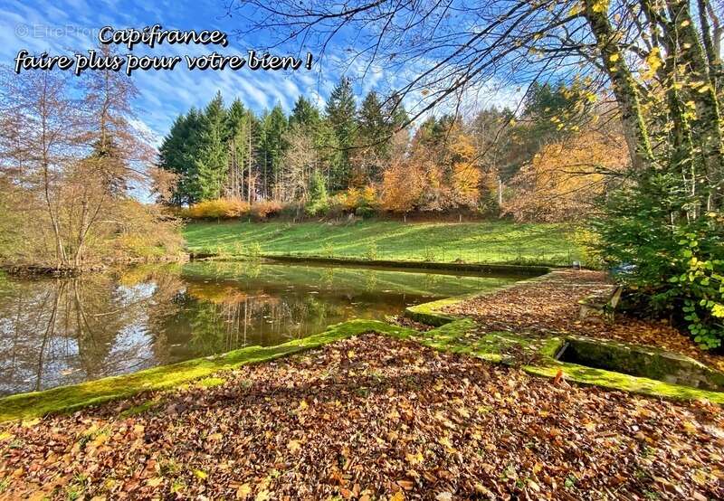 Maison à BELMONT-DE-LA-LOIRE