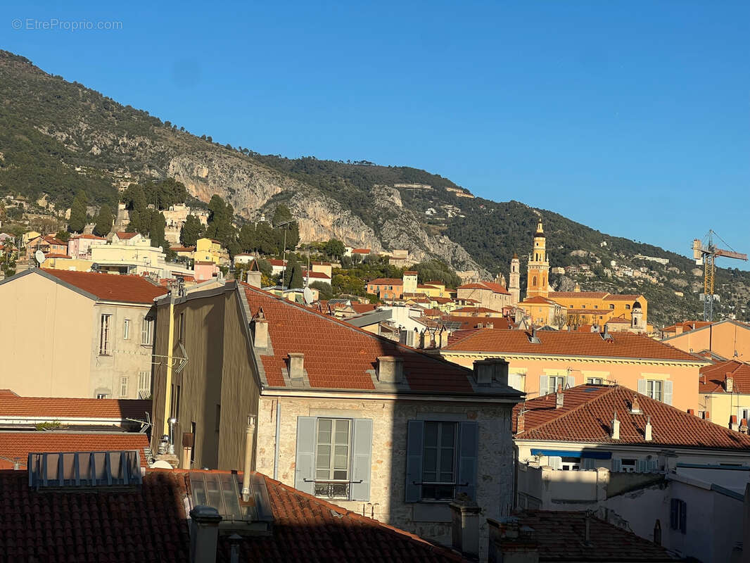 EXCLUSIVITE-T1 plein centre de Menton étage élevé-balcon-vue dégagée Basilique et montagnes - photo 8