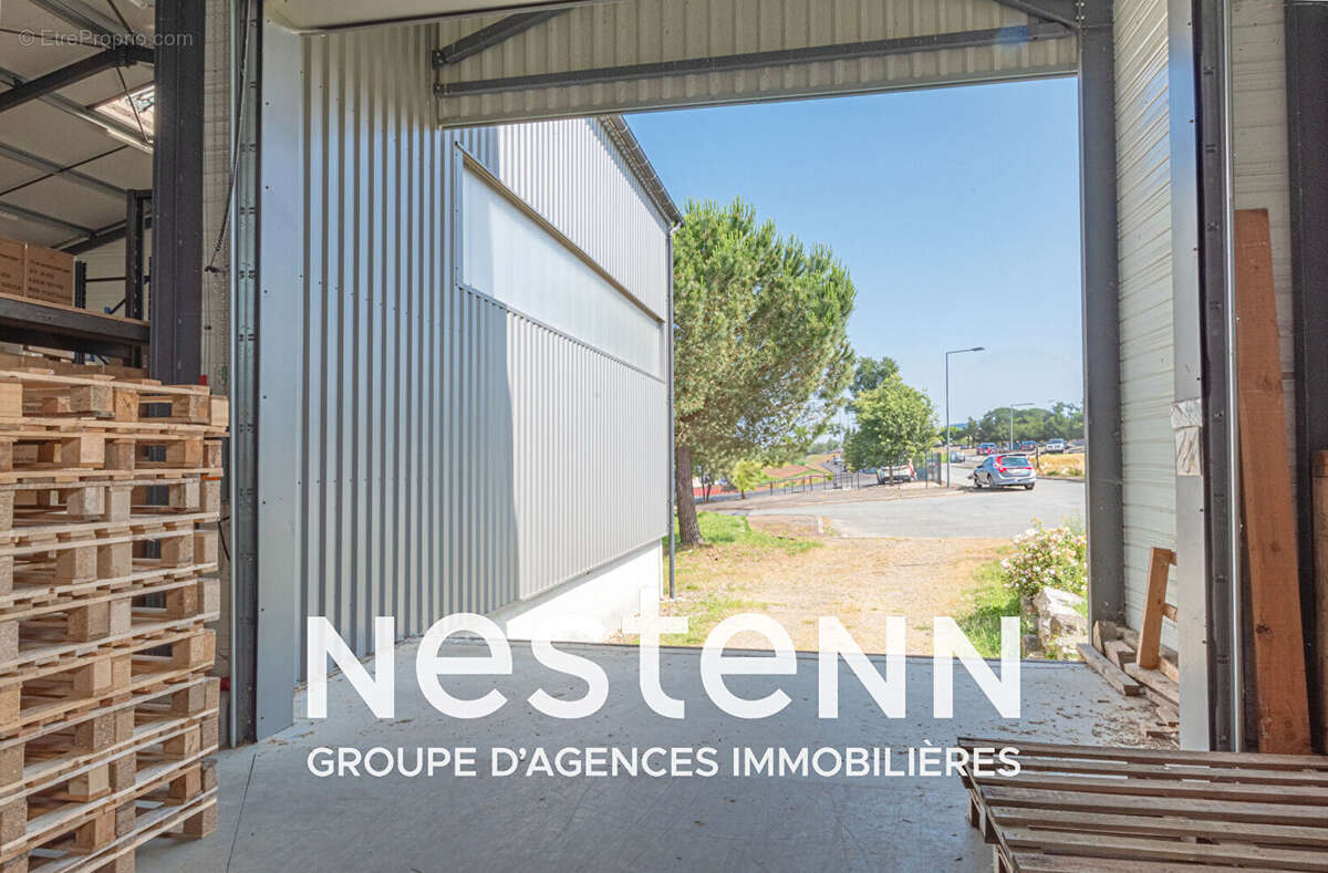 Commerce à PAMPELONNE