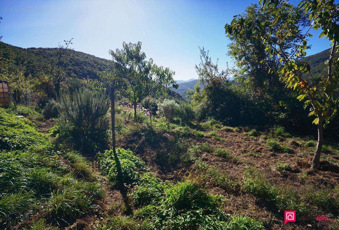 Maison à SAINT-PIERRE-DE-COLOMBIER
