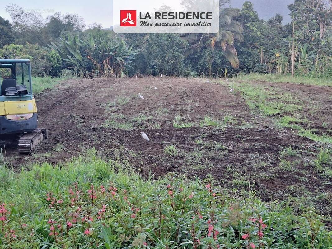 Terrain à LE MORNE-ROUGE