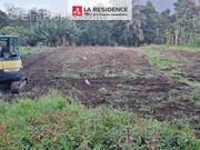 Terrain à LE MORNE-ROUGE