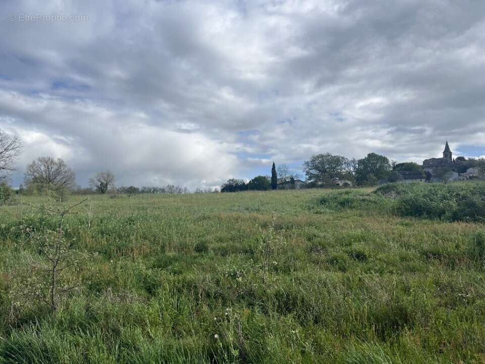 Terrain 845 m² à Tecou  - photo 3