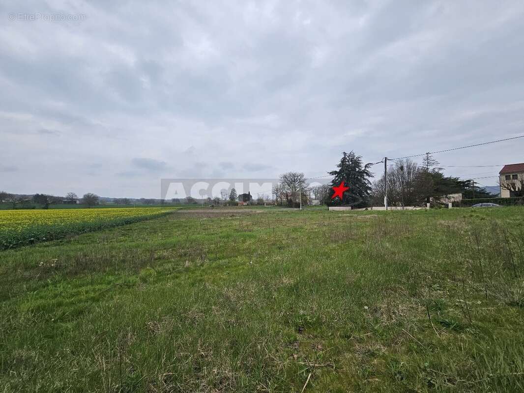 Terrain à MONTDRAGON