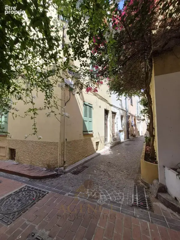 2P Vieil Antibes Safranier - photo 7