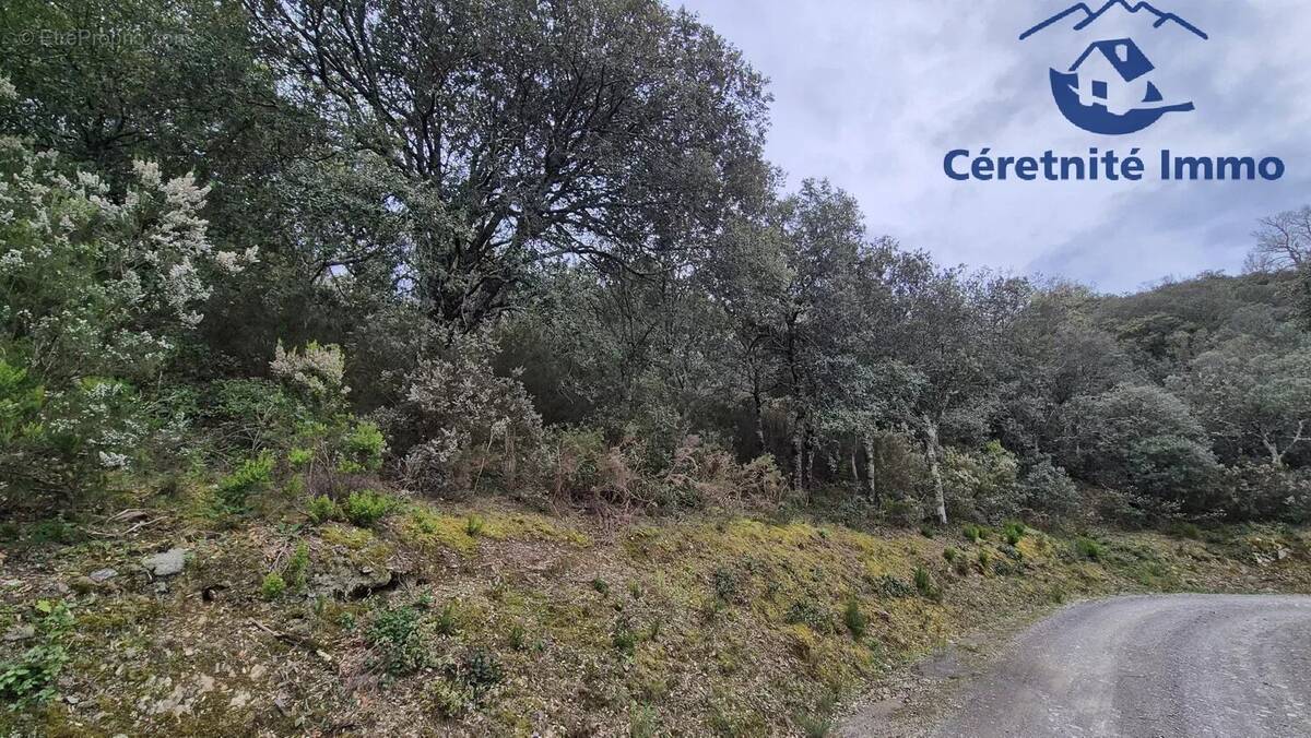 Terrain à PRUNET-ET-BELPUIG