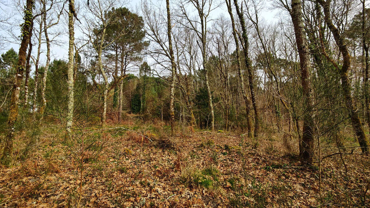 Terrain à GOURBERA