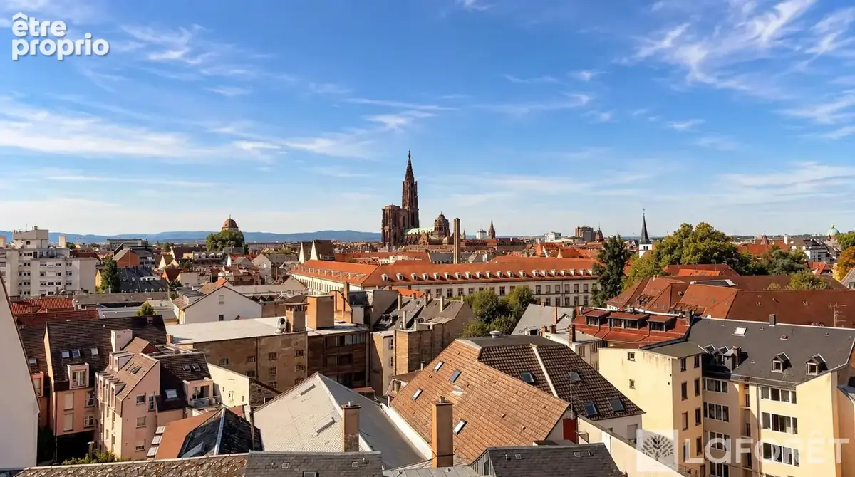 Dernier étage - logement refait à neuf - vue cathédrale - Krutenau - photo 9