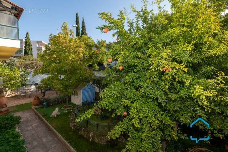 Sanary Port à pied/  Appartement en RDC de 114 m2,  S/Sol de 187 m2  et terrain 318 m2 /garage. 10mn du port - photo 14