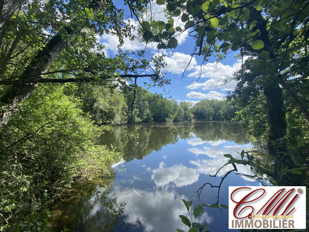 Terrain à SAINT-DIZIER