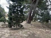 Terrain à BOUZIGUES