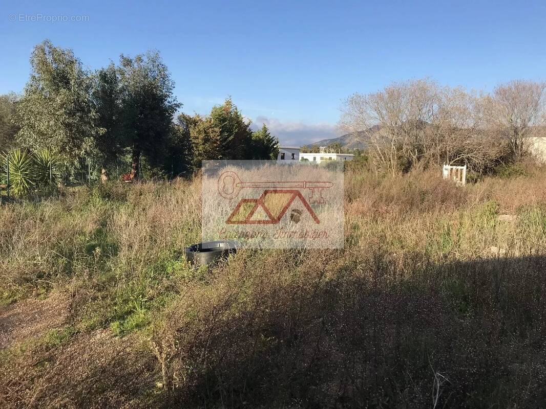 Terrain à CALENZANA