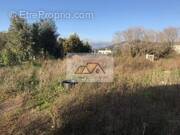 Terrain à CALENZANA