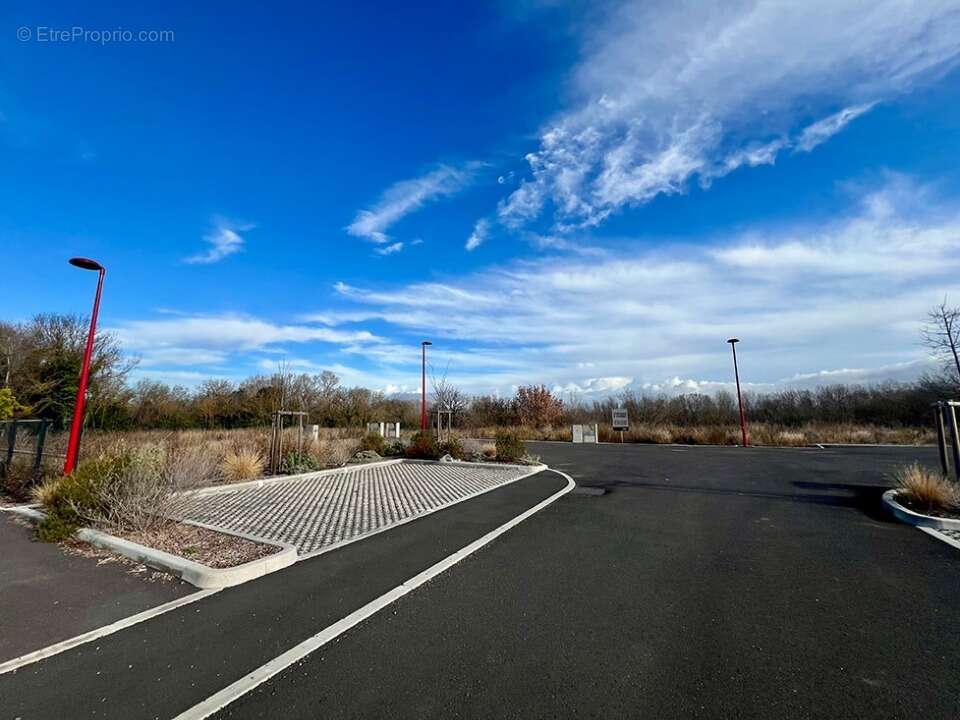 Terrain à SAINT-THIBERY