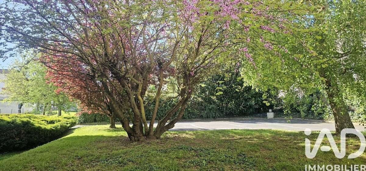 Photo 5 - Appartement à LAGNY-SUR-MARNE