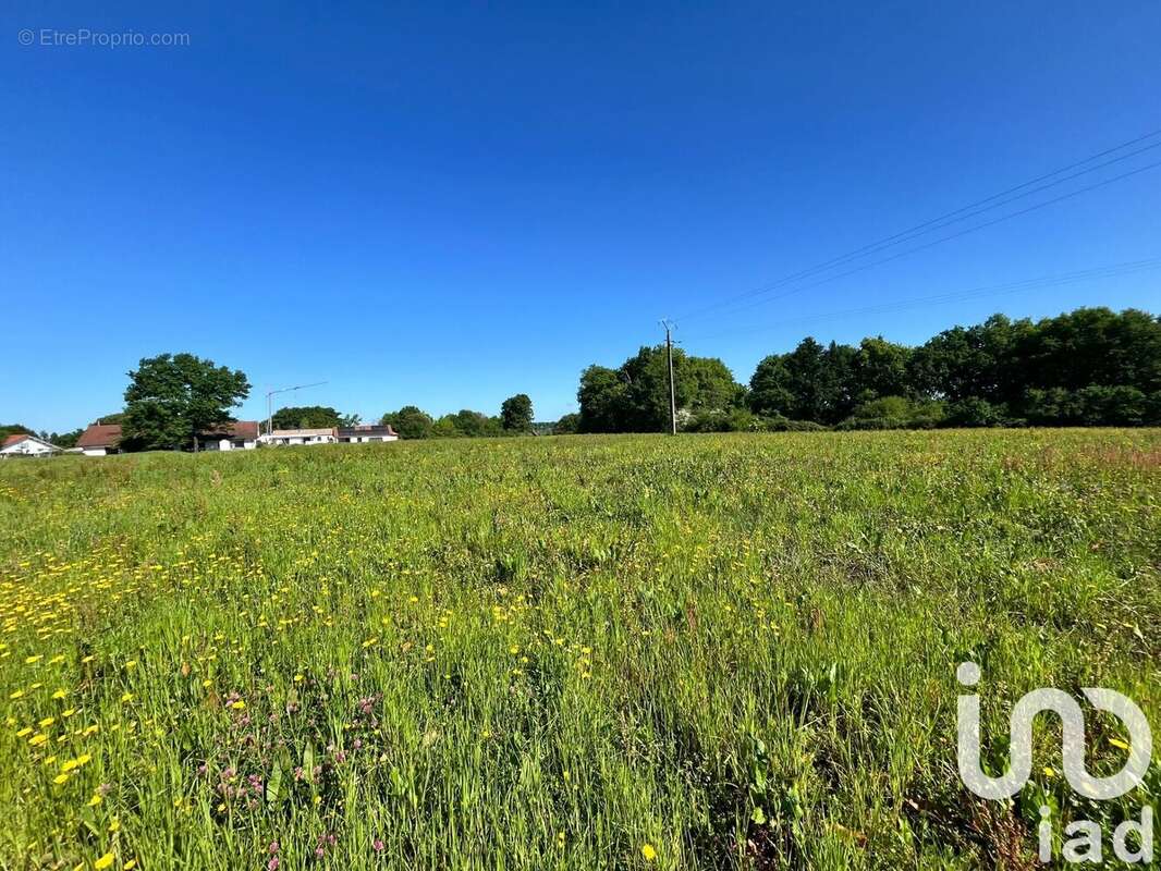 Photo 2 - Terrain à SAULT-DE-NAVAILLES