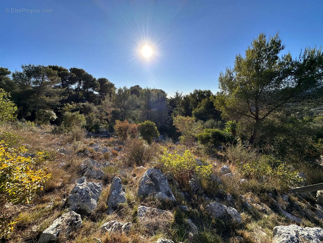 Terrain à DRAP