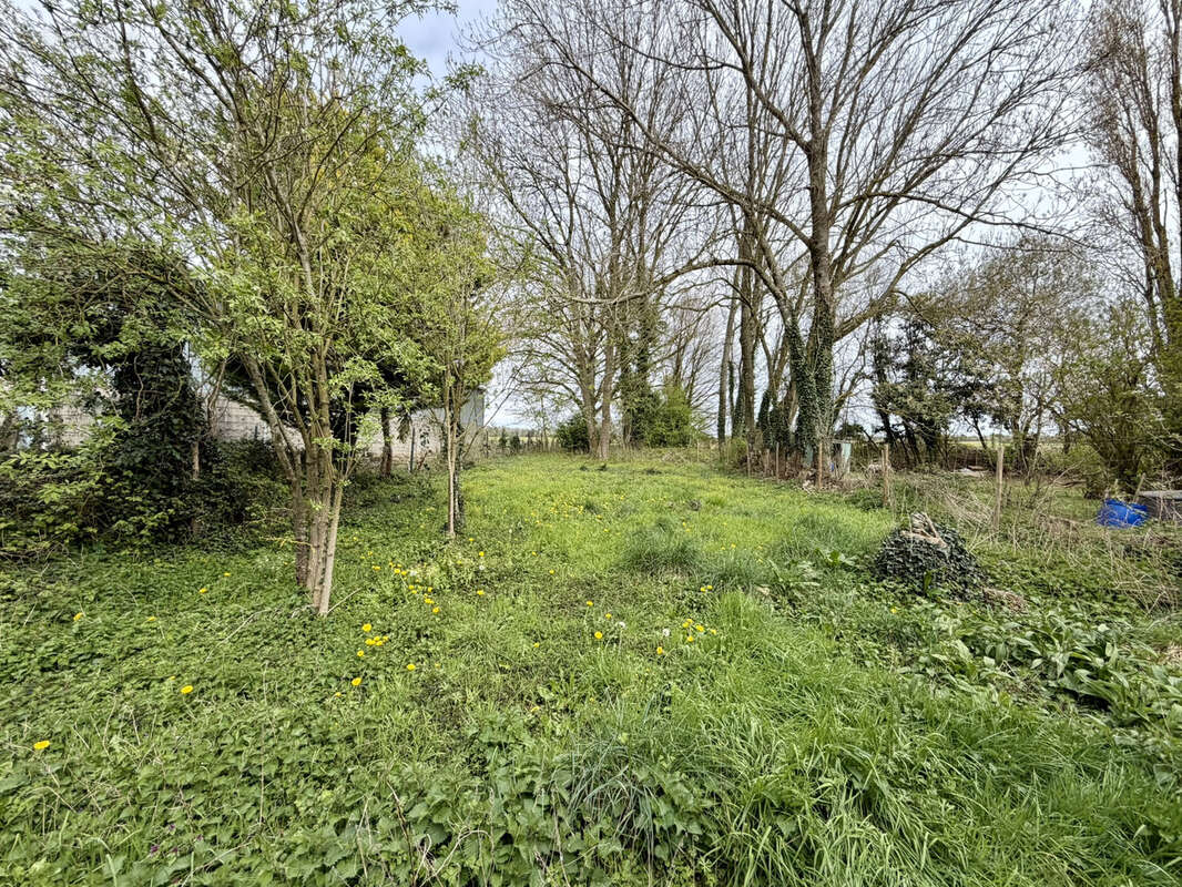 Maison à COULOMMIERS