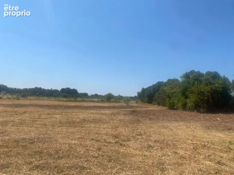Terrain à SALLES-D'AUDE