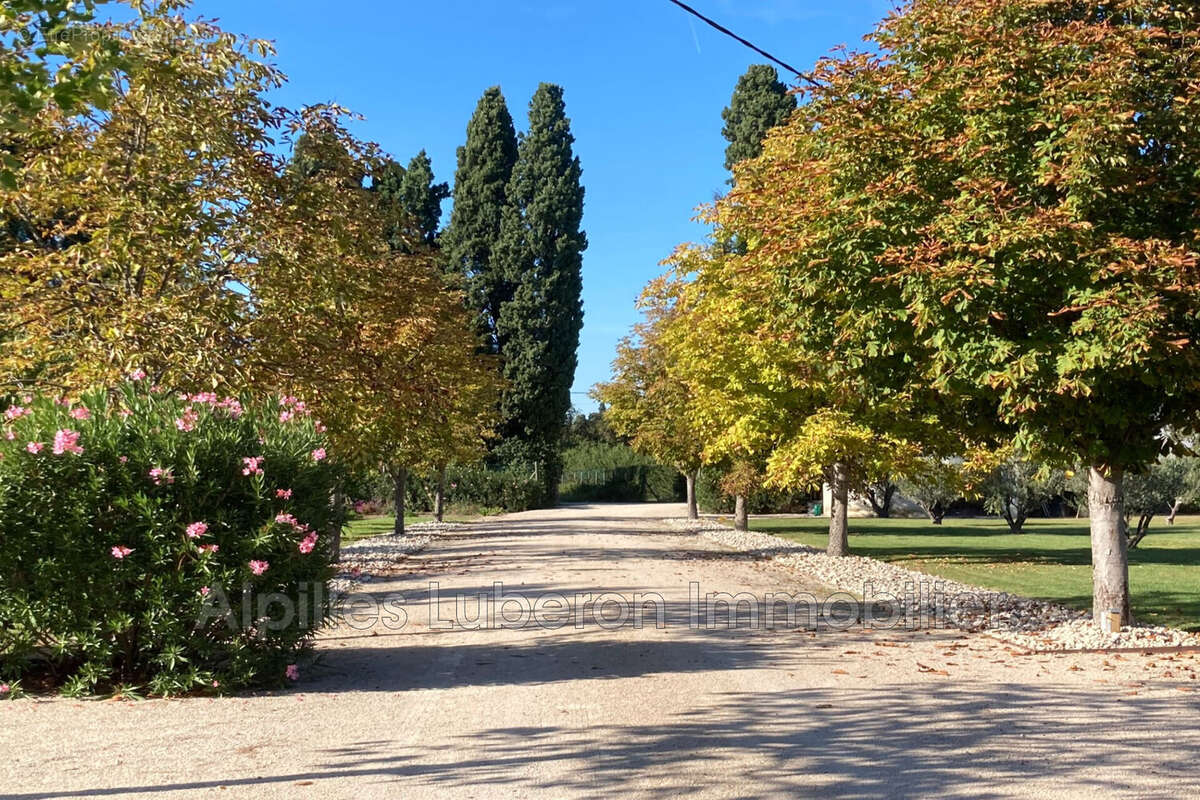Maison à SAINT-REMY-DE-PROVENCE