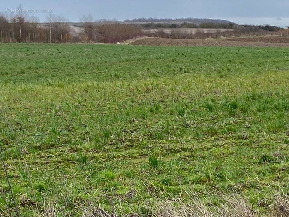 Terrain à WIMILLE