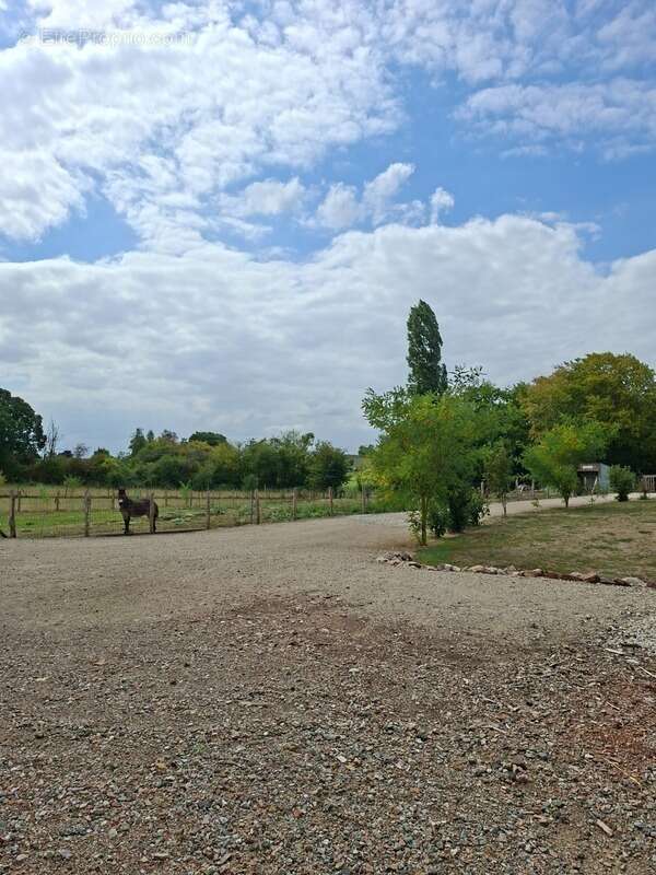 Maison Villa  Plain pied NEuve 2022 Basse Conso 164 m2 + Dépendance neuve 117m2 , Parc Clos 5800m2 - photo 3