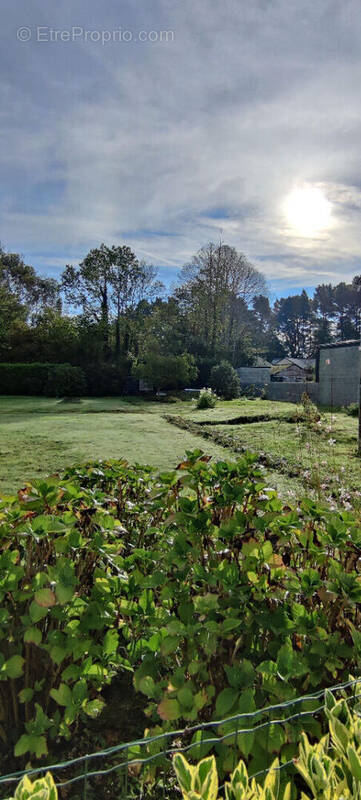 Terrain à VIGNEUX-DE-BRETAGNE