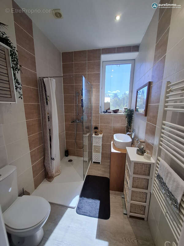 salle d'eau - Maison à NERIS-LES-BAINS