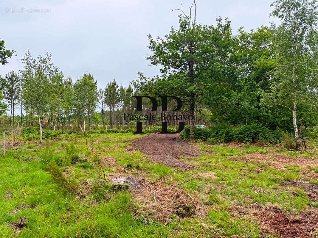 Terrain à VENDAYS-MONTALIVET