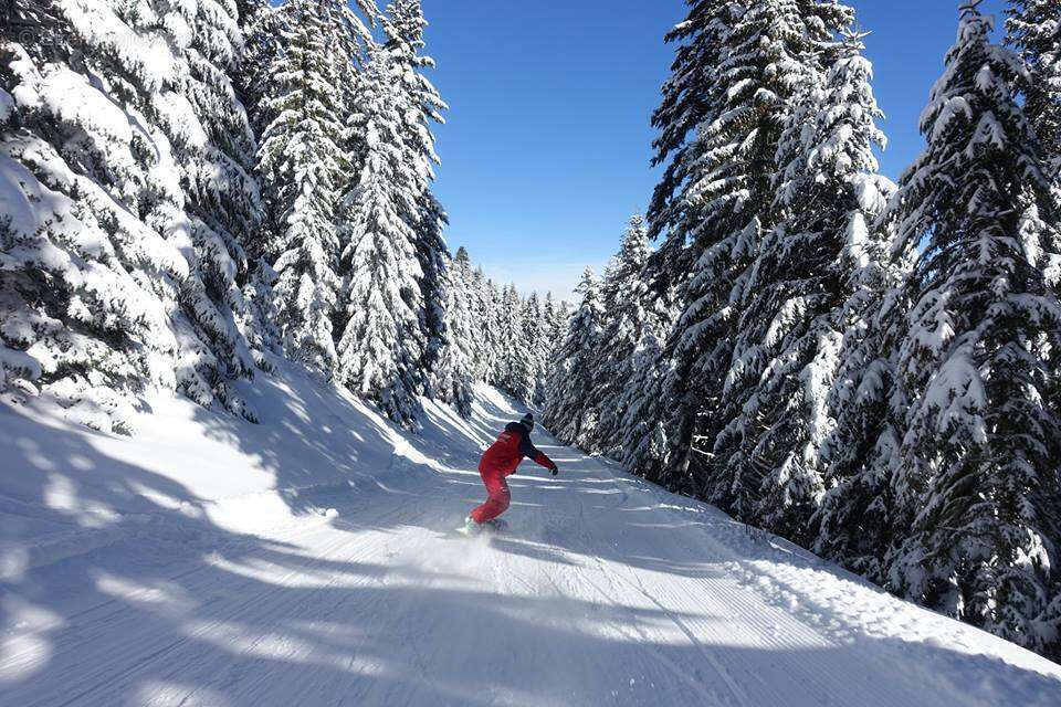 Appartement à SELONNET