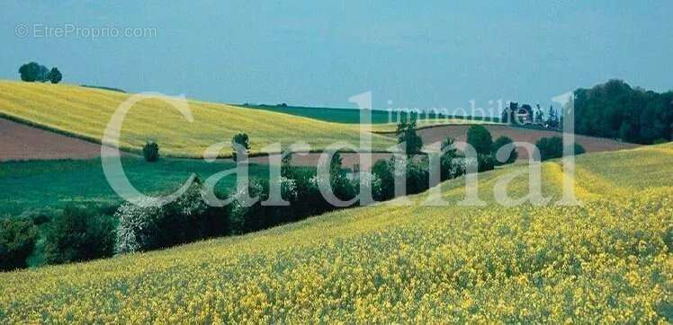 Appartement à BAILLY