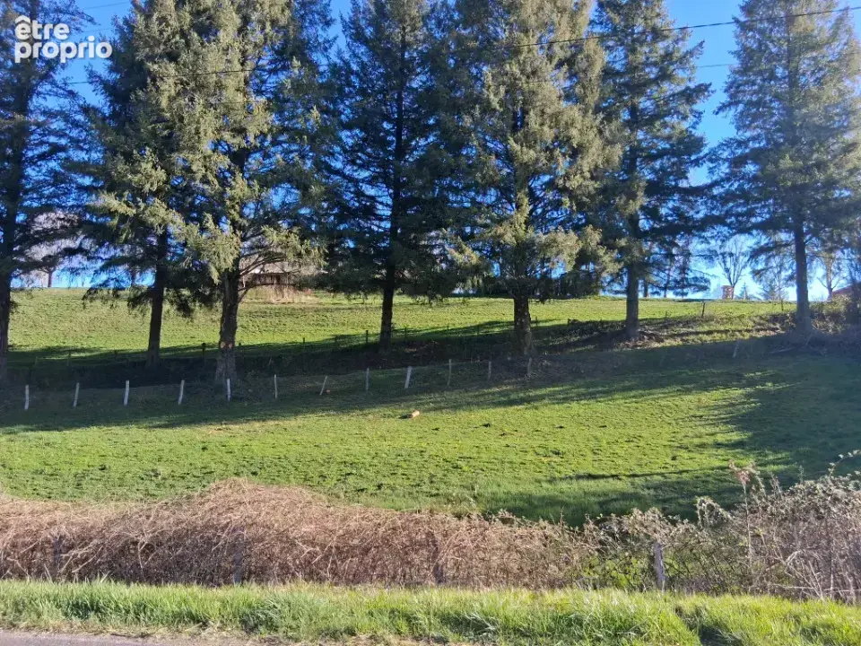 Terrain 1 630 m² à vendre à Reilhac (15250) - photo 3